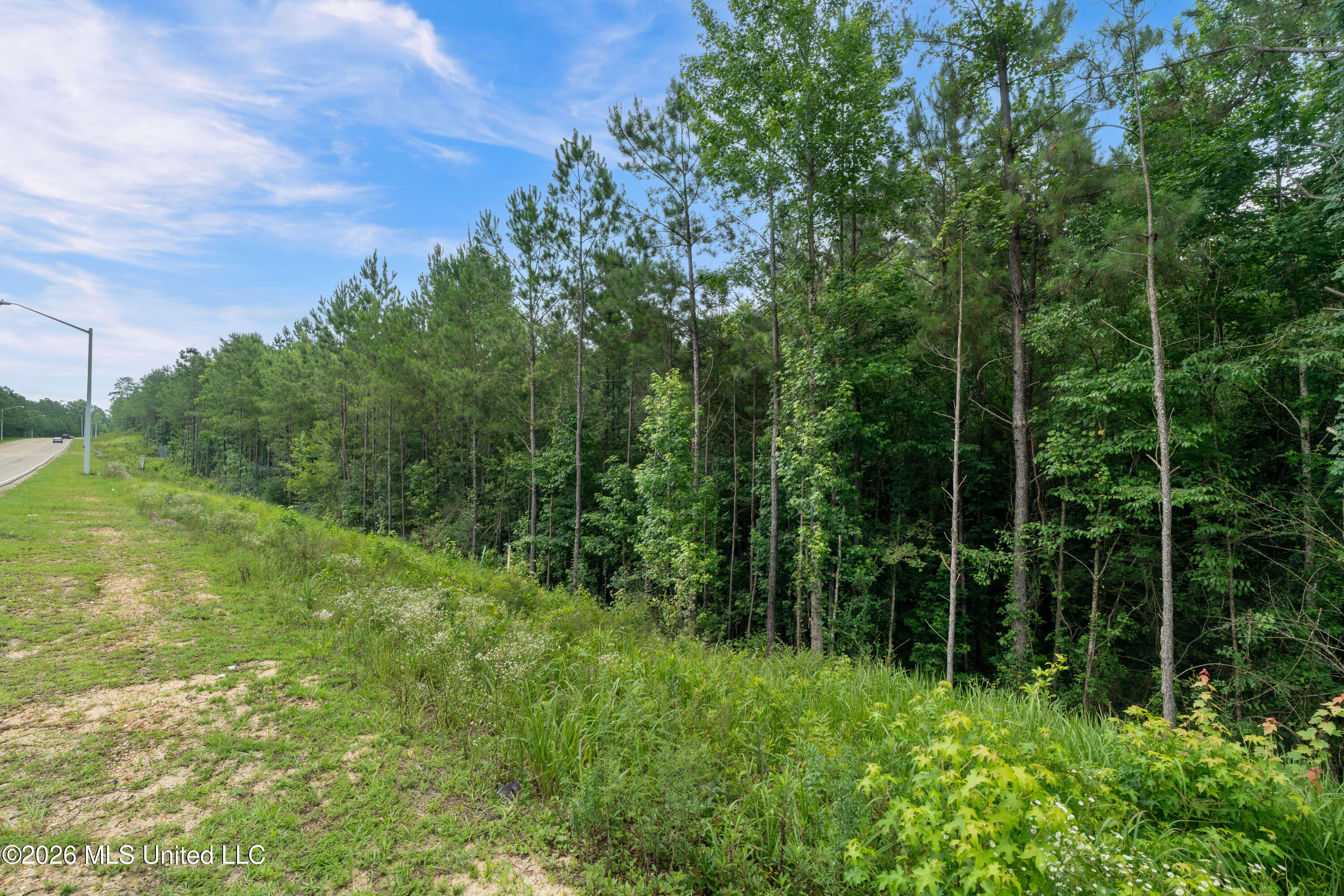 Lincoln Road Hattiesburg, MS 39402 - Photo 5 of 33 00_Lincoln_Rd-4