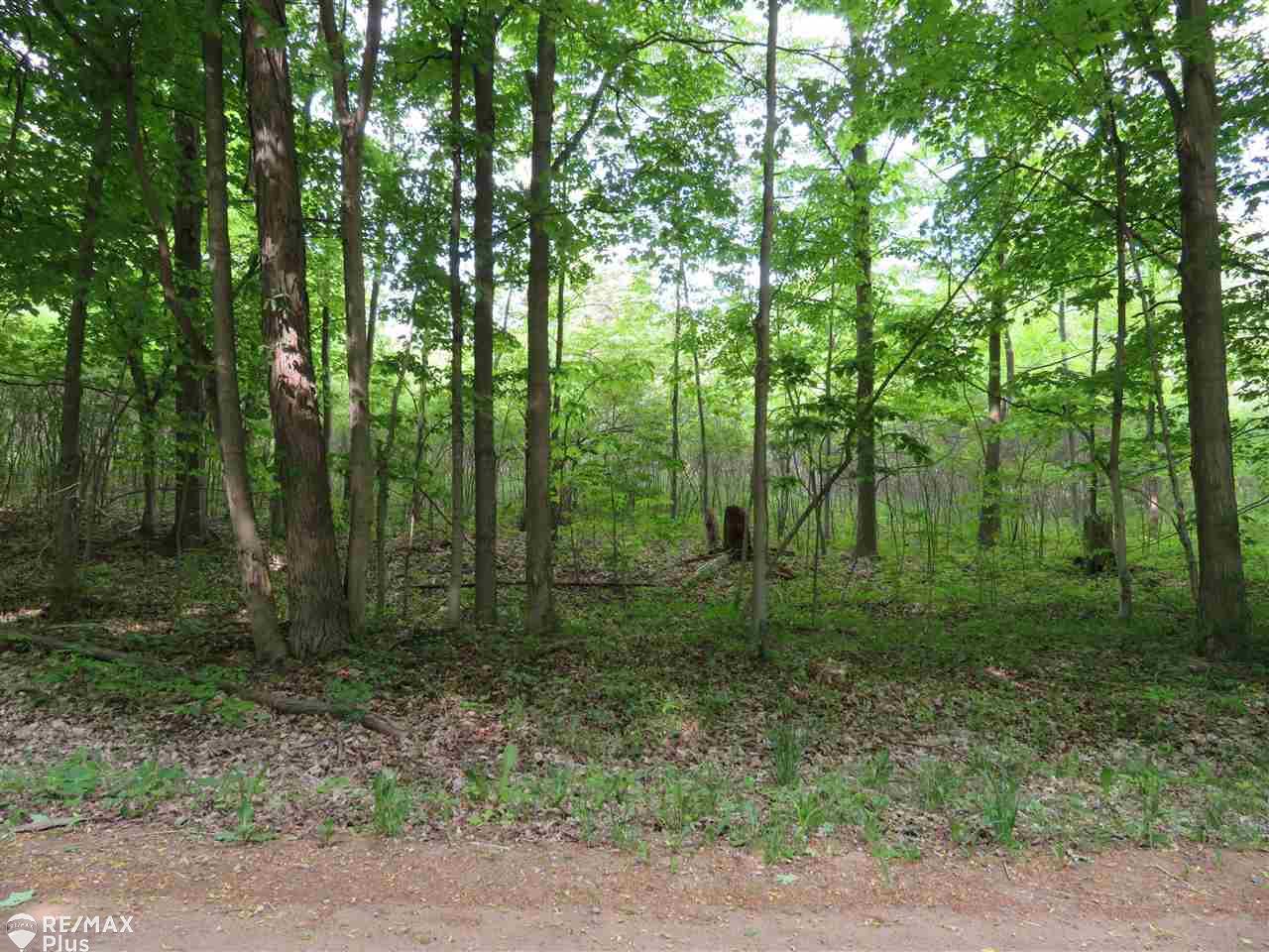 0 South Force Road Attica, MI 48412 - Photo 1 of 4