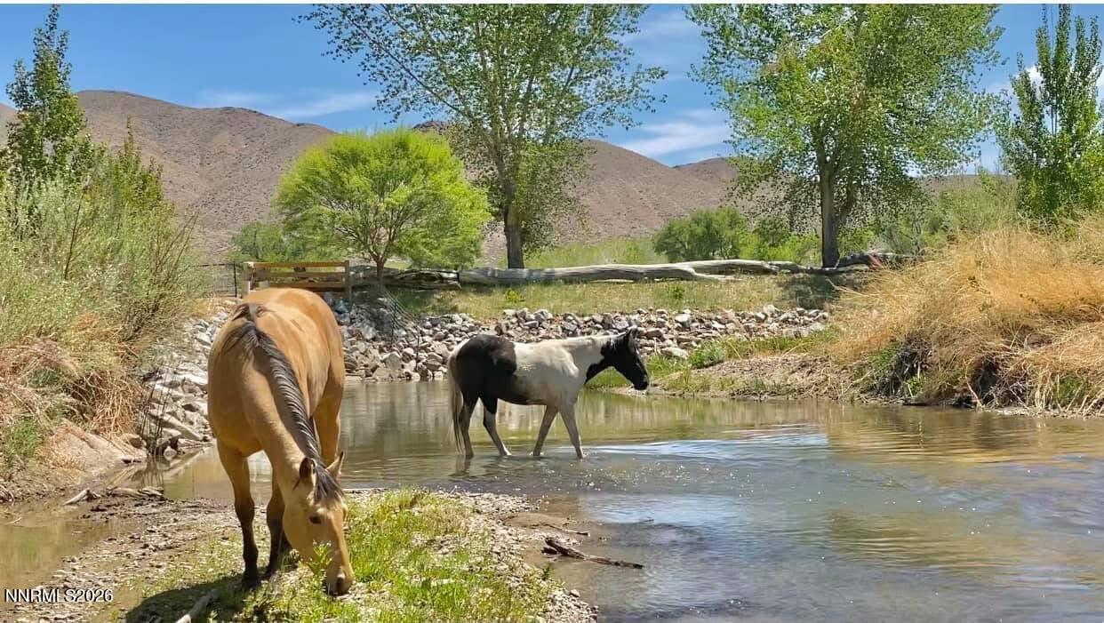 156 East Walker Road Yerington, NV 89447 - Photo 25 of 47 IMG_2765