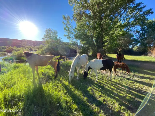 $2,300,000 | 156 East Walker Road, Yerington, NV 89447