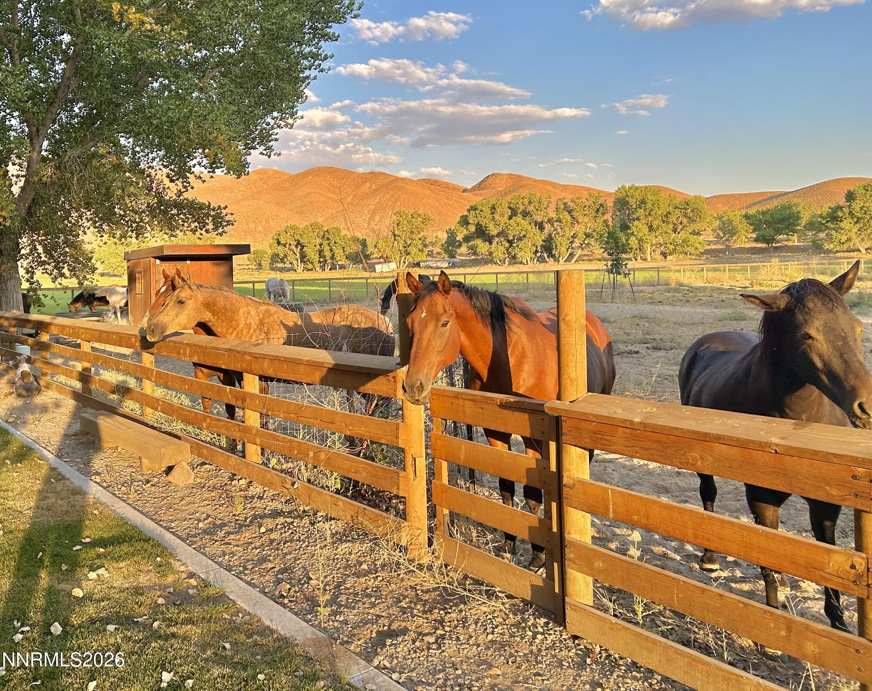 156 East Walker Road Yerington, NV 89447 - Photo 30 of 47 IMG_4331