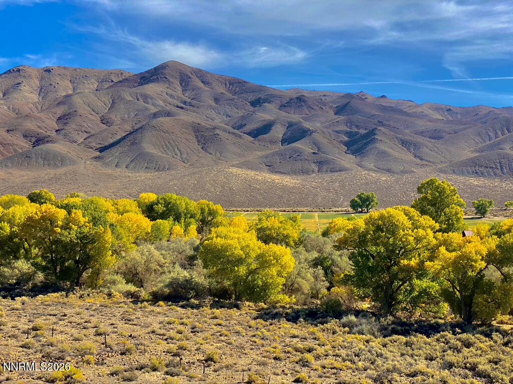 156 East Walker Road Yerington, NV 89447 - Photo 44 of 47 8663B018-27A9-412E-AD84-4BCA9A4A41DC_1_1