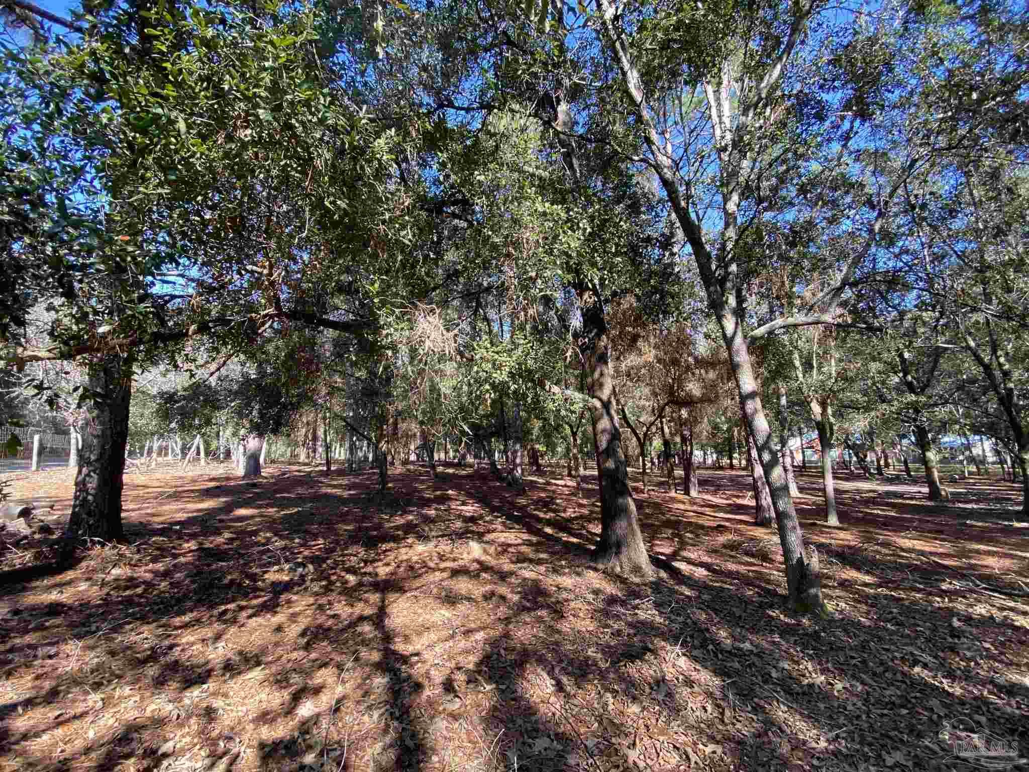 9141 Frank Pitman Road Milton, FL 32570 - Photo 12 of 51 a backyard of a house with lots of green space