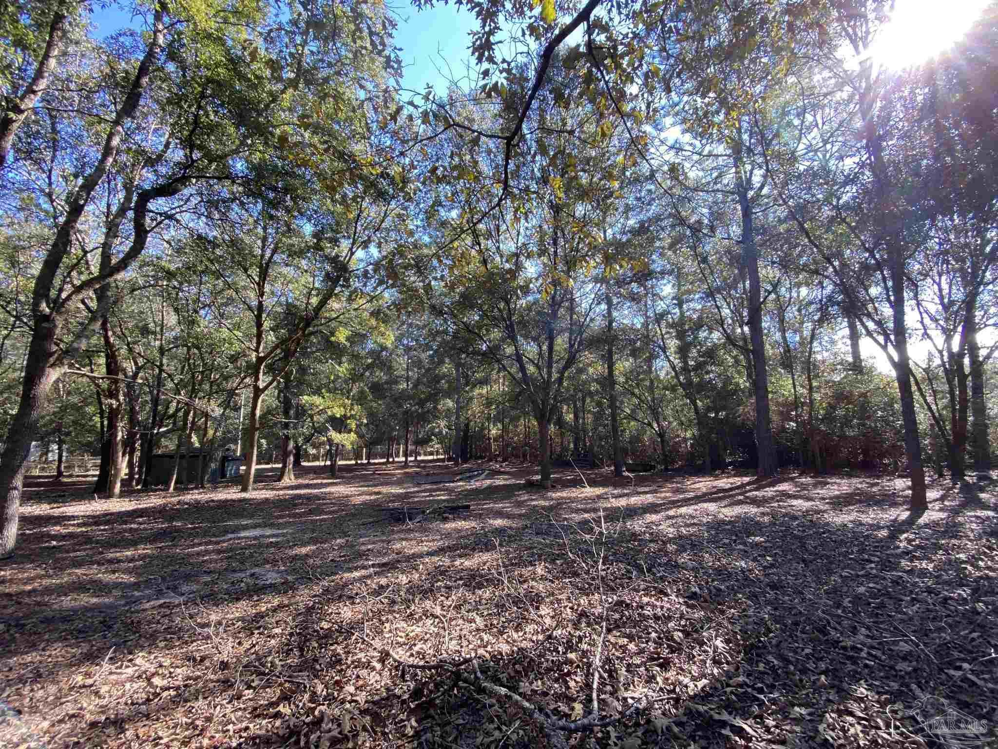 9141 Frank Pitman Road Milton, FL 32570 - Photo 13 of 51 a view of outdoor space with trees