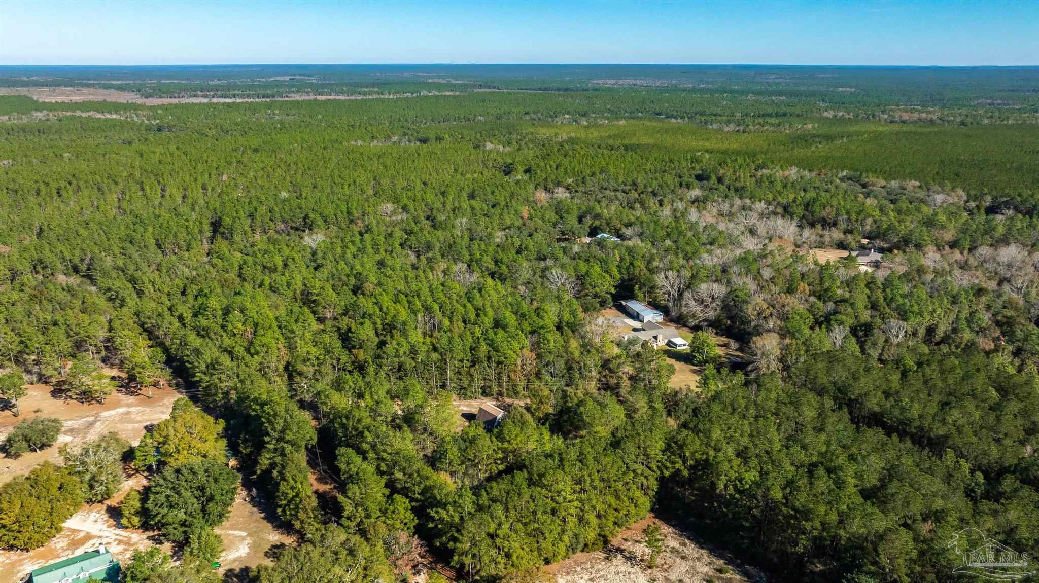 9141 Frank Pitman Road Milton, FL 32570 - Photo 45 of 51 a view of a lush green space with sea