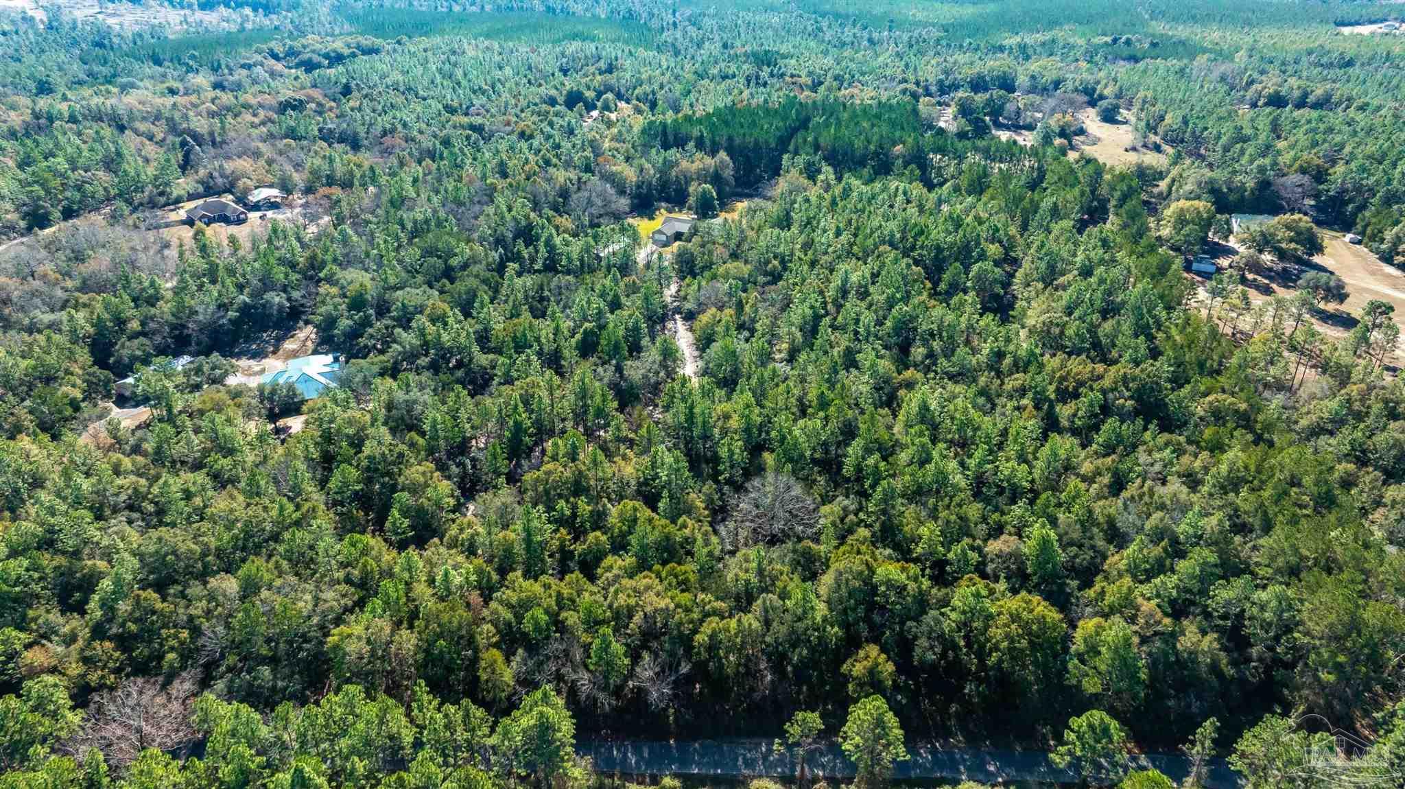 9141 Frank Pitman Road Milton, FL 32570 - Photo 6 of 51 an aerial view of residential house with outdoor space and trees all around