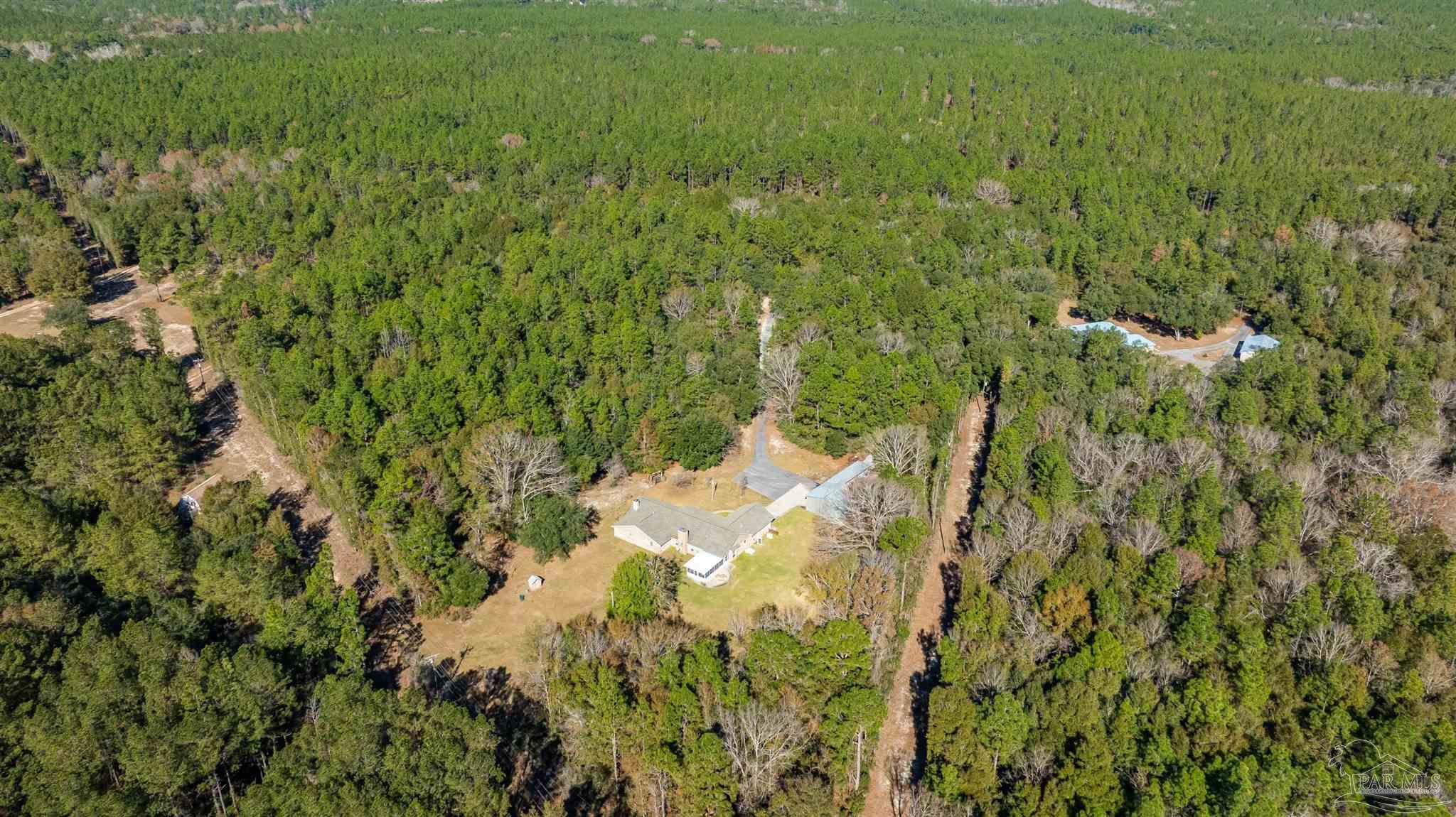 9141 Frank Pitman Road Milton, FL 32570 - Photo 10 of 51 a view of a yard and trees
