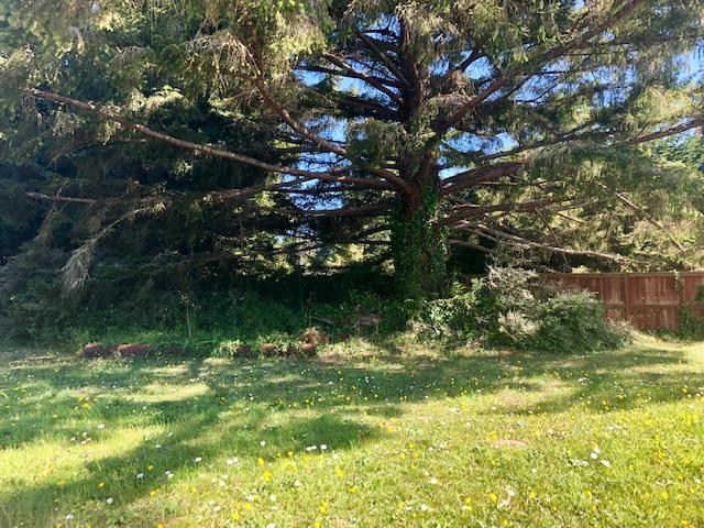 9.25-acre Eggert Road Eureka, CA 95503 - Photo 4 of 29