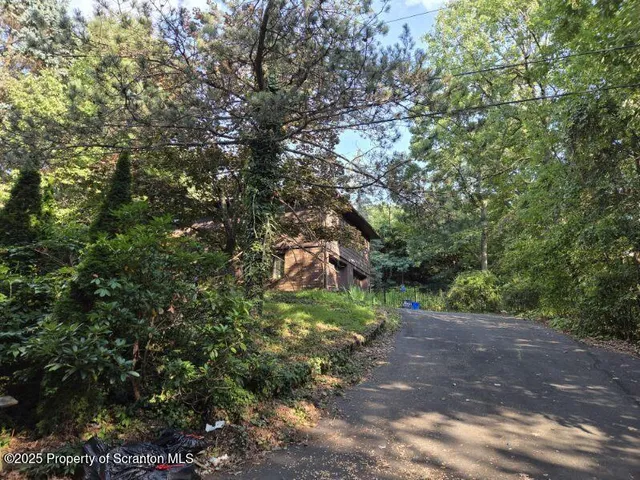 a big yard with lots of green space and trees