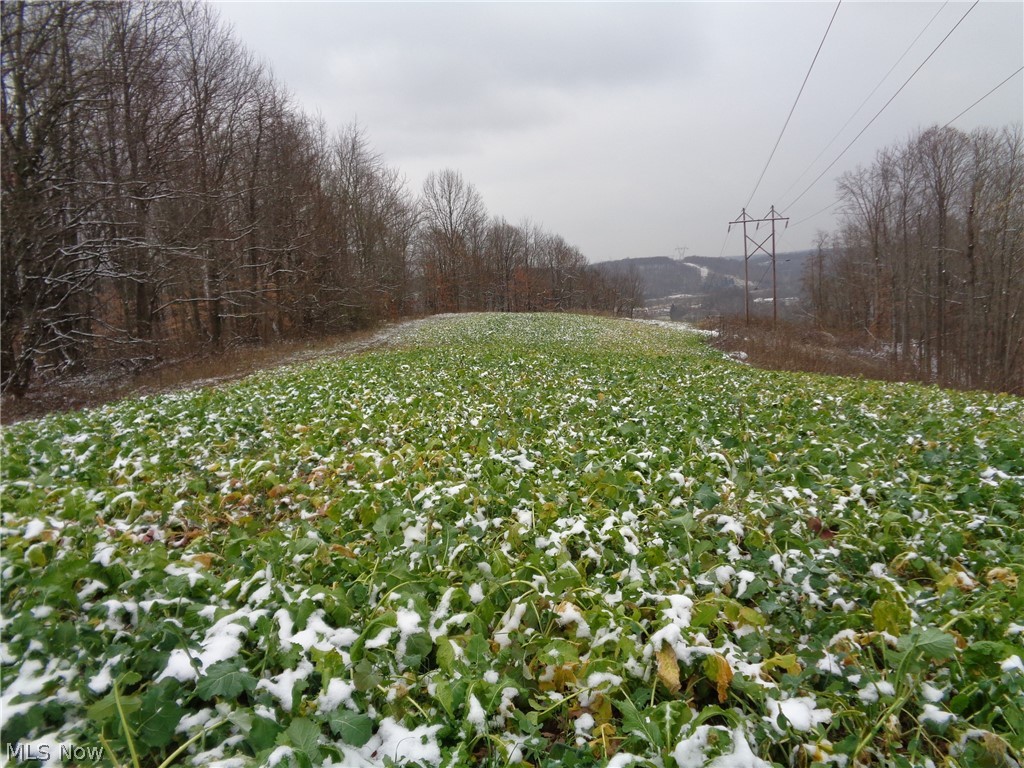 63334 Bobs Run Road Cambridge, OH 43725 - Photo 2 of 30 Gallery Image 2