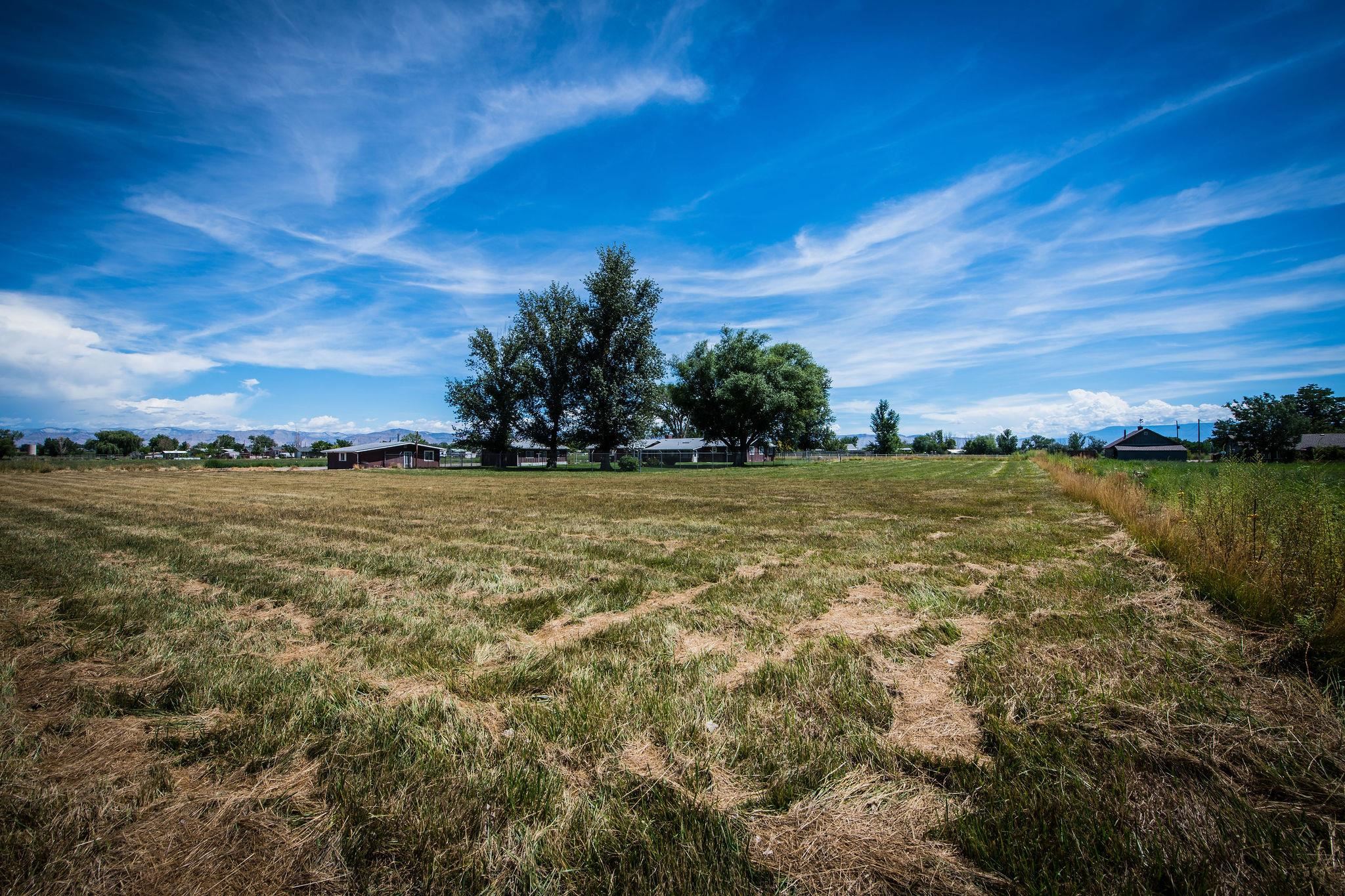 871-20 20 1/2 Road Fruita, CO 81521 - Photo 38 of 39 Gallery Image 38