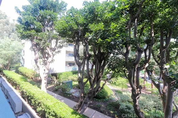 a view of a garden
