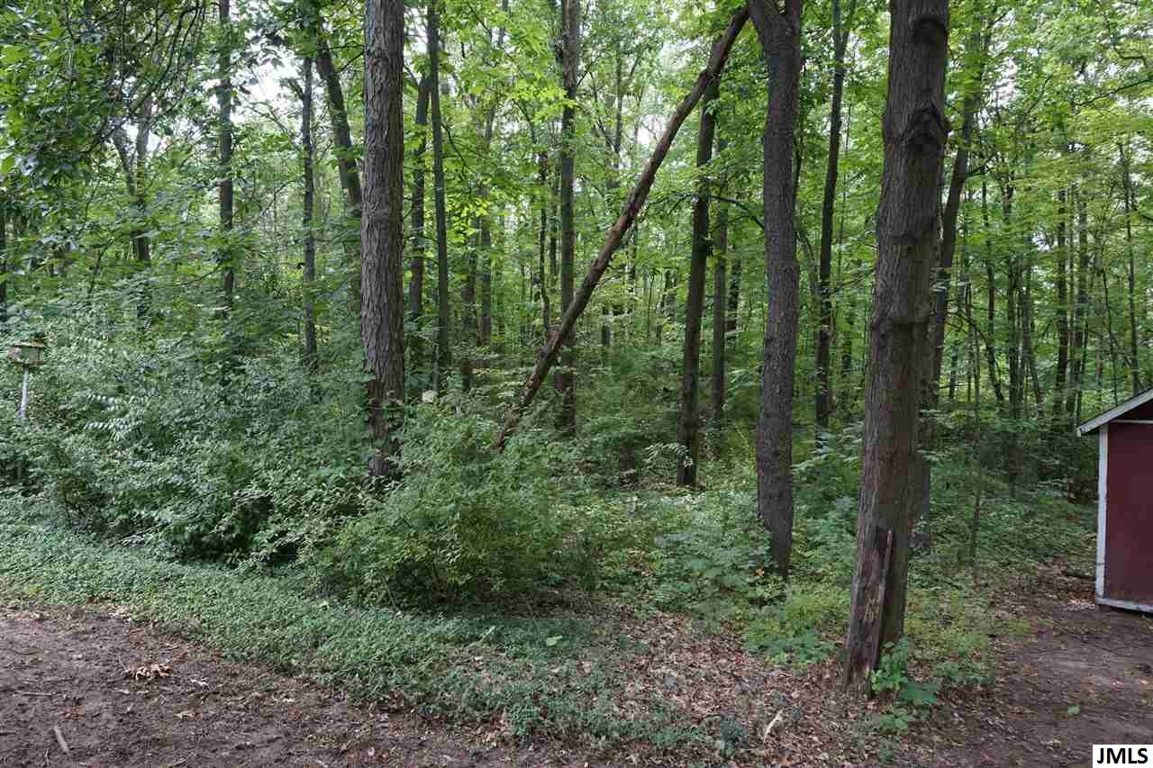 8100 Dixon Road Rives Junction, MI 49277 - Photo 21 of 26 Photo 21