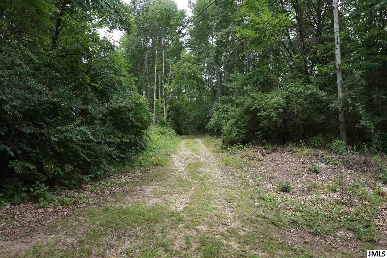 8100 Dixon Road Rives Junction, MI 49277 - Photo 24 of 26 Photo 24