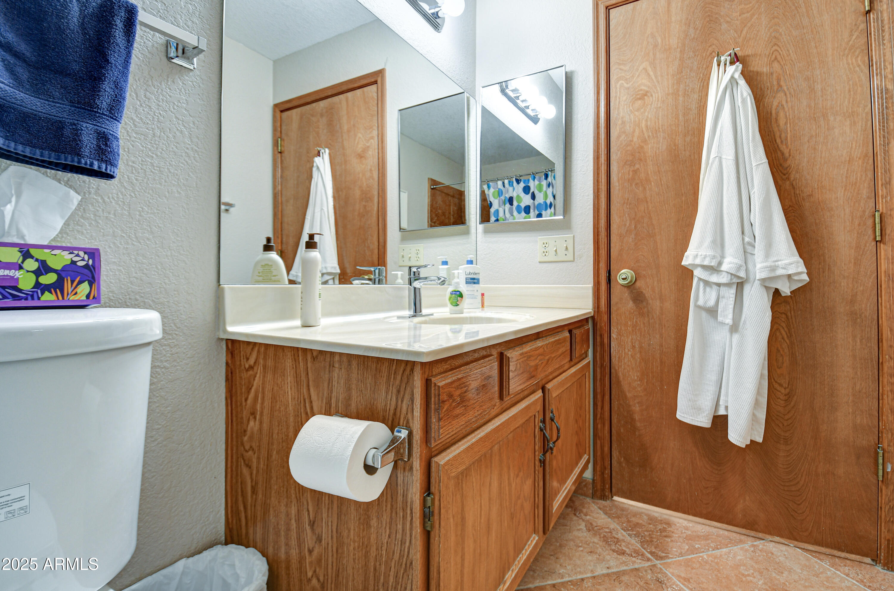 542 South Higley Road, Unit 102 Mesa, AZ 85206 - Photo 34 of 51 Primary Bath 3