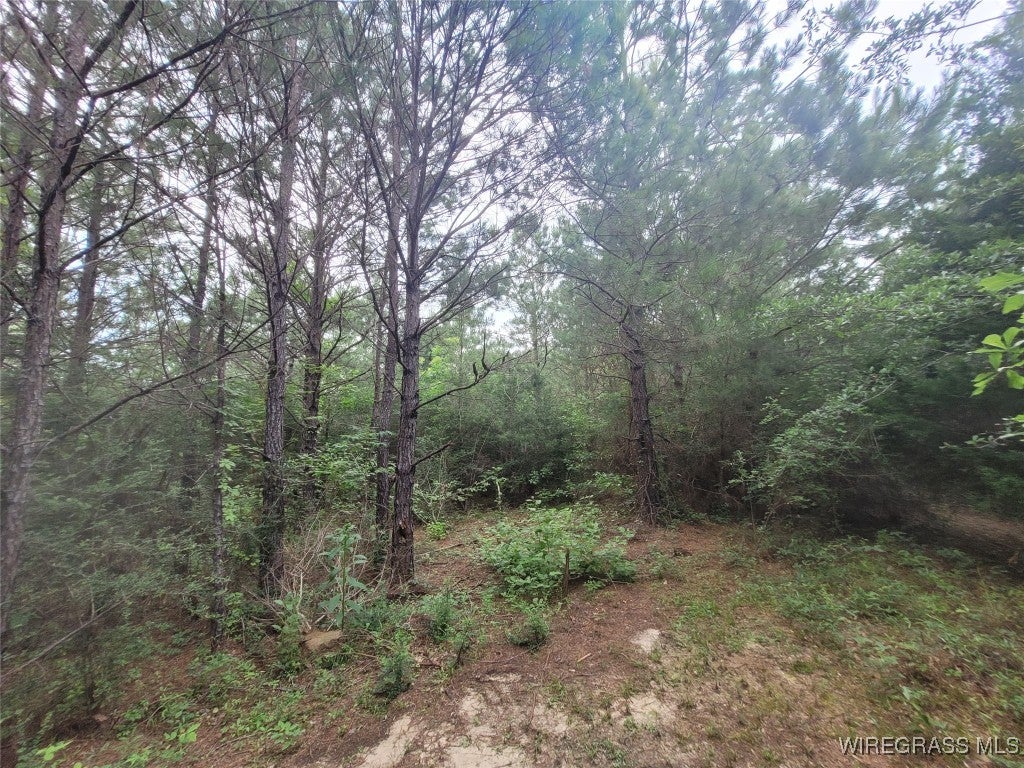 3270 Joe Reeves Road Castleberry, AL 36432 - Photo 45 of 51 Gallery Image 45