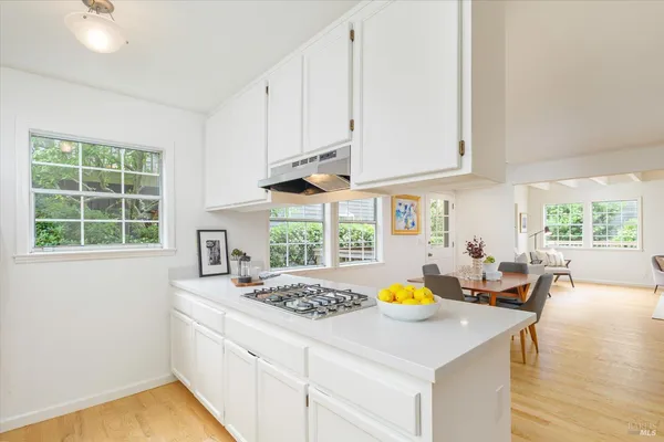 $1,250,000 | 755 Miller Avenue, Mill Valley, CA 94941