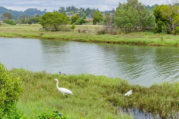 $1,250,000 | 755 Miller Avenue, Mill Valley, CA 94941