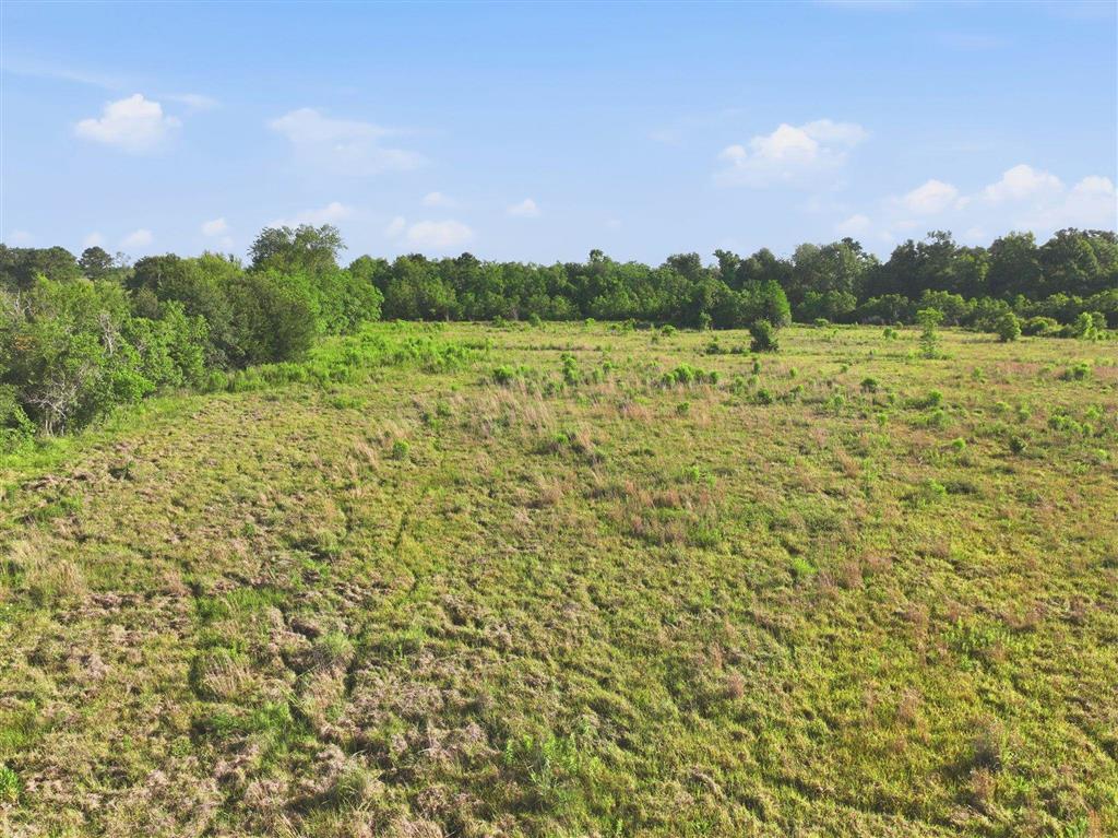 Tbd Tbd Sidney Derouen Road Iowa, LA 70647 - Photo 6 of 12