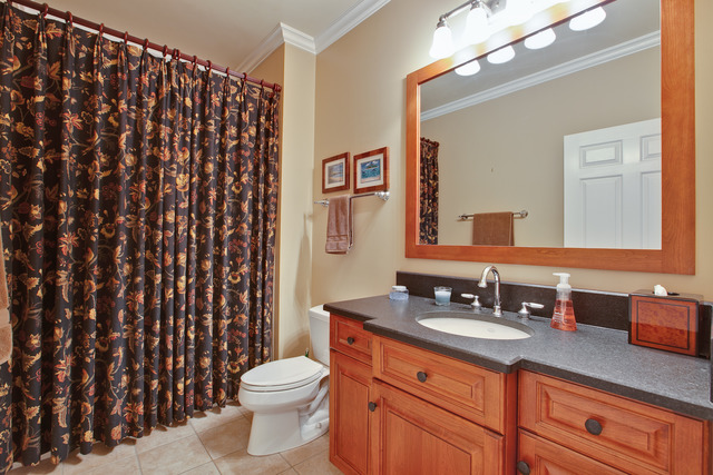 502 South Commons Court, Unit 502 Deerfield, IL 60015 - Photo 16 of 33 a bathroom with a granite countertop toilet a sink a mirror a lamp and a shower curtain