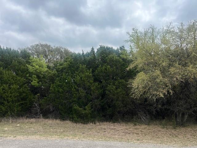 10019 Ridgeway Whitney, TX 76692 - Photo 2 of 36