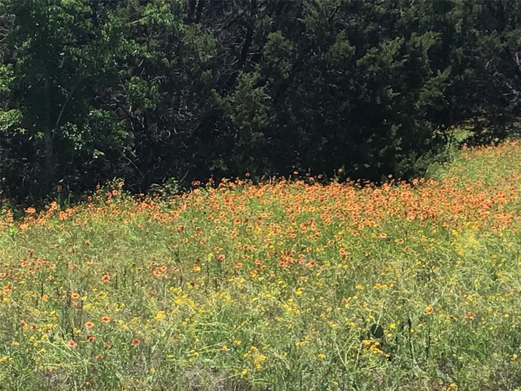 10019 Ridgeway Whitney, TX 76692 - Photo 5 of 36