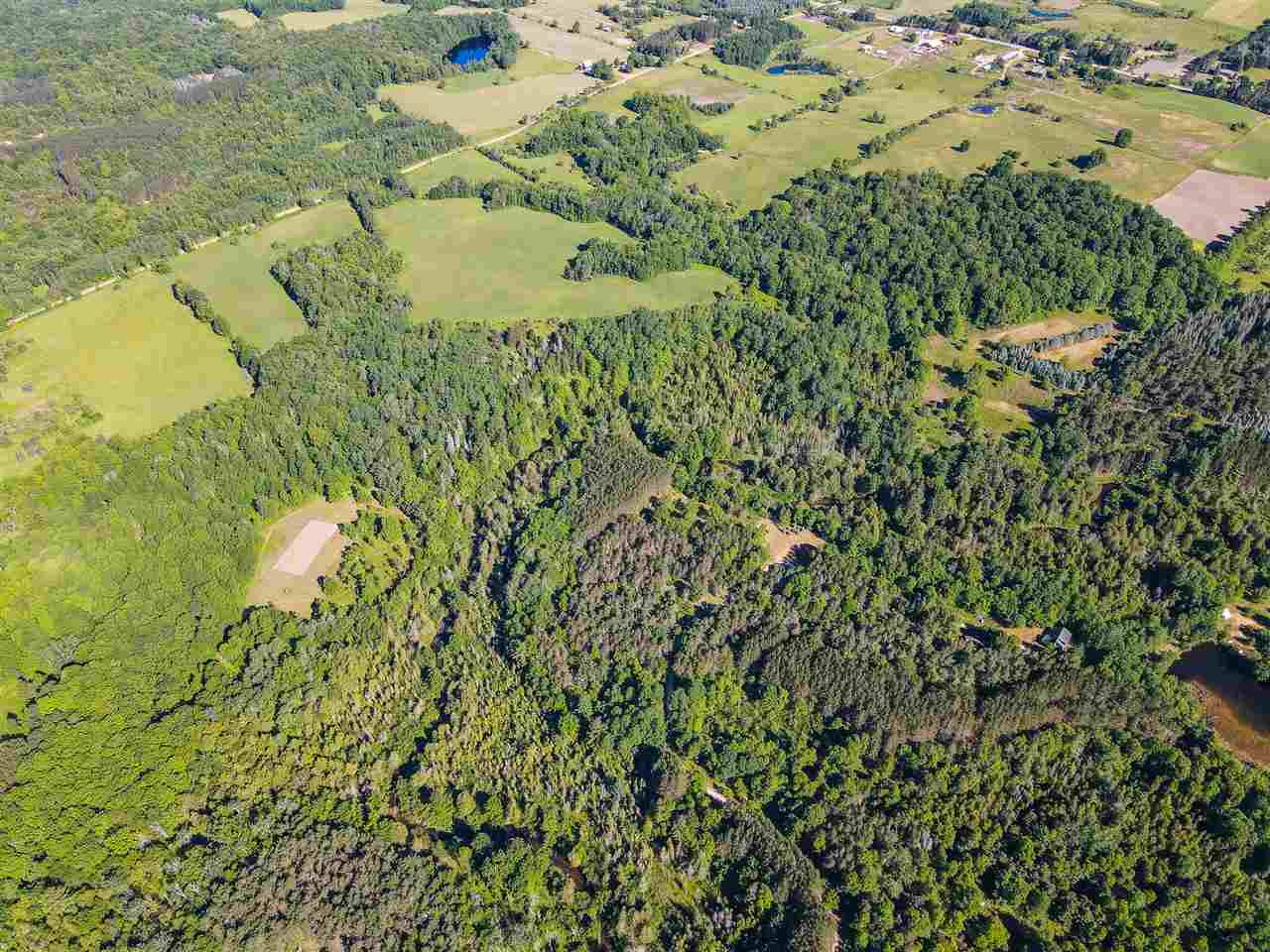 19 Mile Road, Unit 10 ACRES Leroy, MI 49655 - Photo 12 of 14