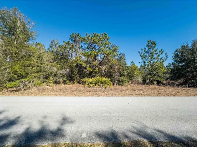 $45,000 | 1737 East Westgate Lane, Hernando, FL 34442