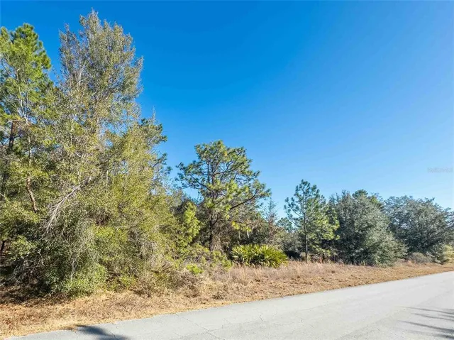 $45,000 | 1737 East Westgate Lane, Hernando, FL 34442