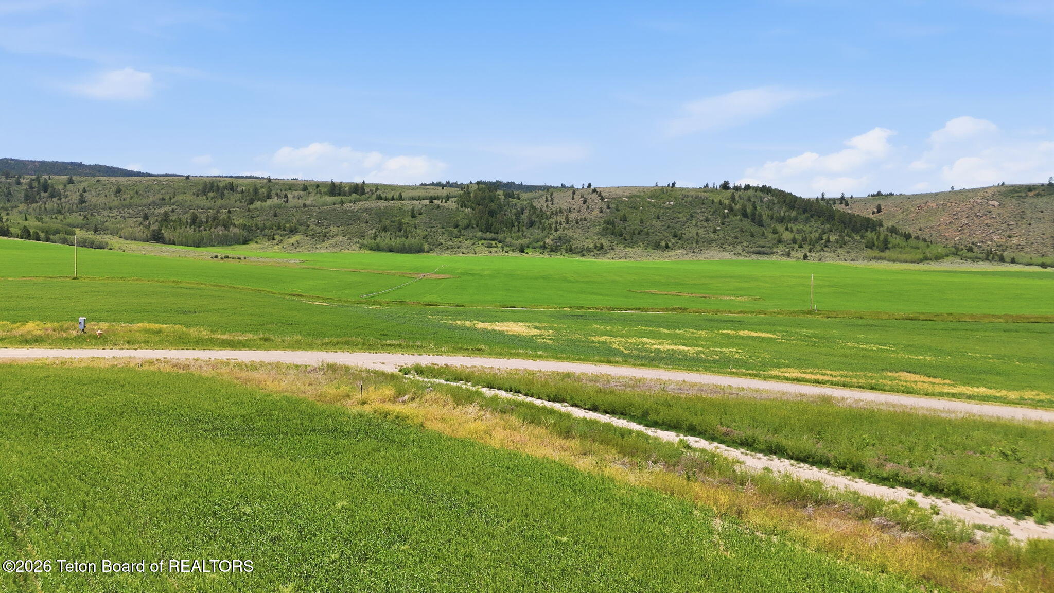 8420 Fawn Ridge Lane Tetonia, ID 83452 - Photo 3 of 14 West Big Hole Views