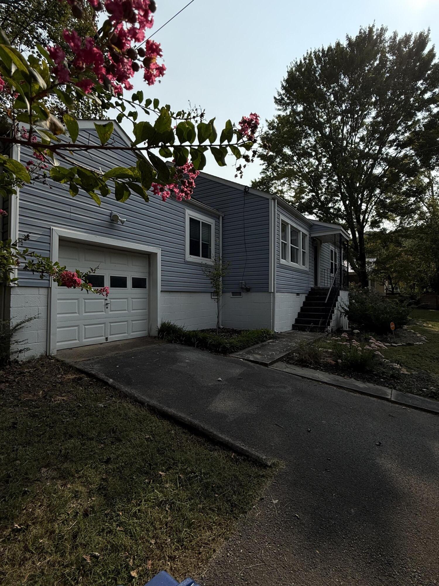 113 Hill Road Chattanooga, TN 37415 - Photo 24 of 32 113 Hill Road in Bloom