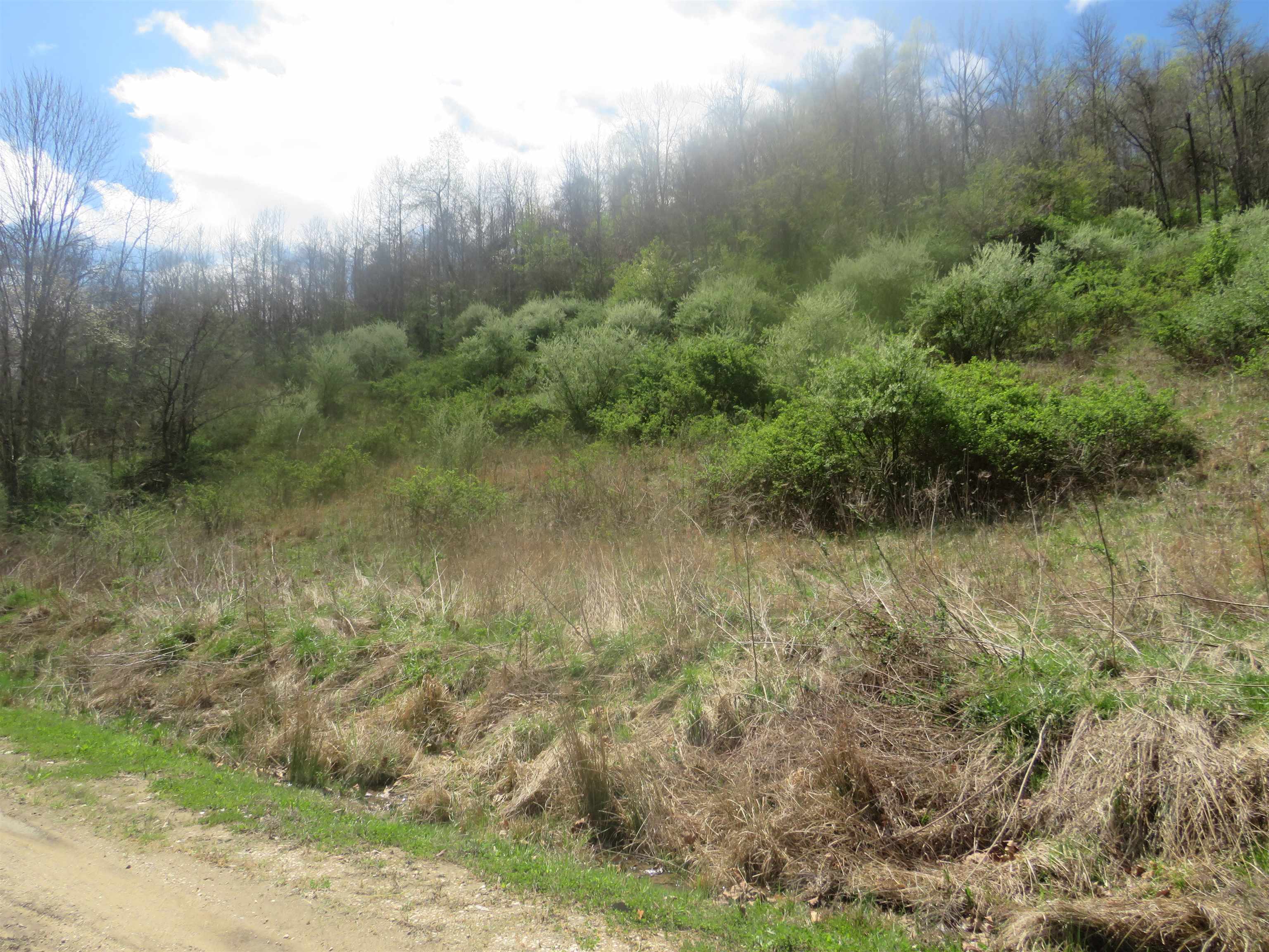 60 Us Grayson, KY 41164 - Photo 7 of 12