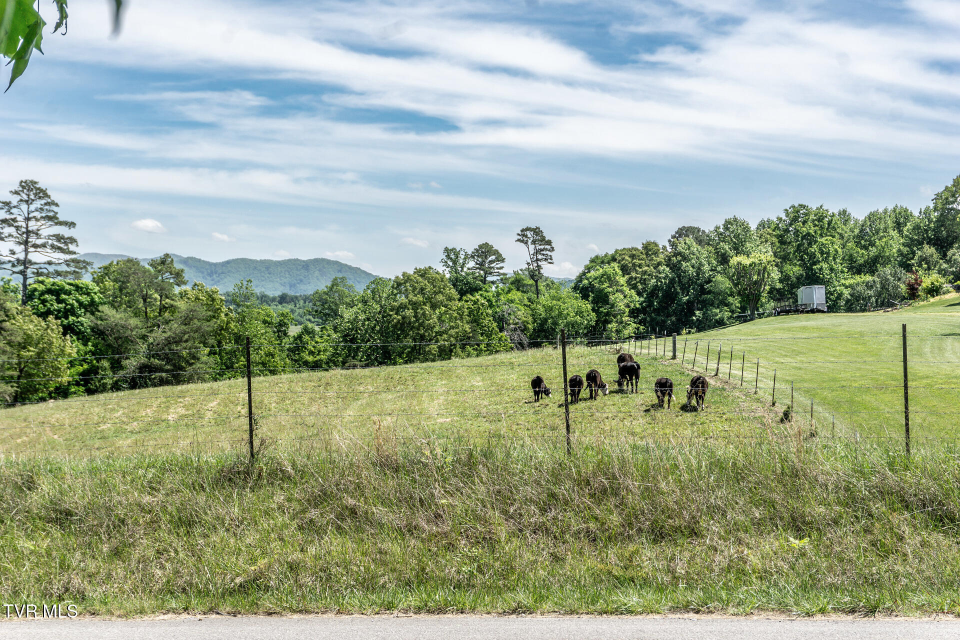 180 South Mill Road Greeneville, TN 37743 - Photo 34 of 65 180SMillG_084