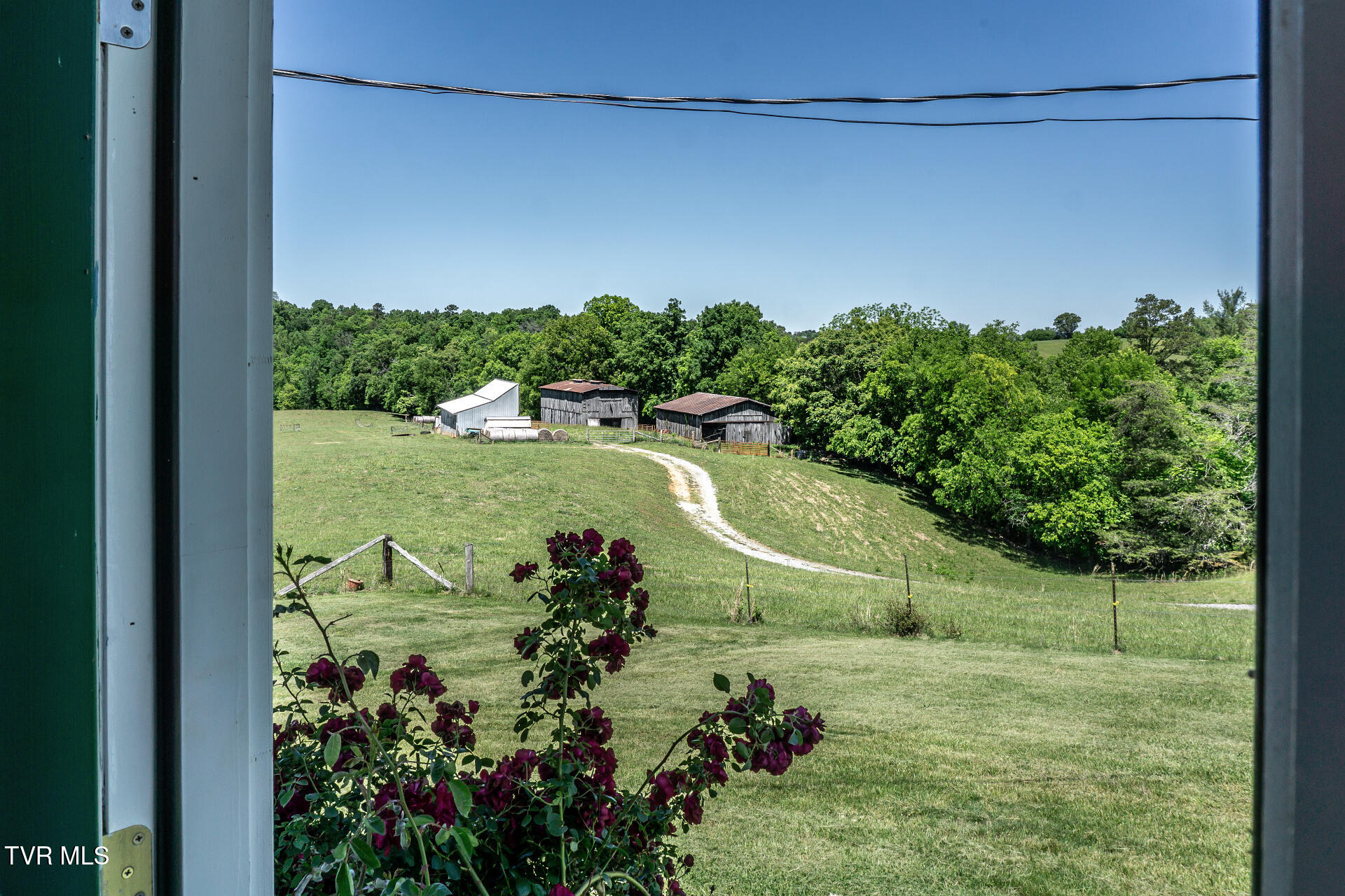 180 South Mill Road Greeneville, TN 37743 - Photo 42 of 65 180SMillG_072