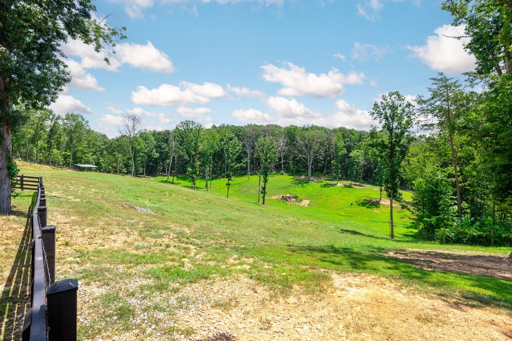 337 Allen Road Chatsworth, GA 30705 - Photo 68 of 68 Gallery Image 68