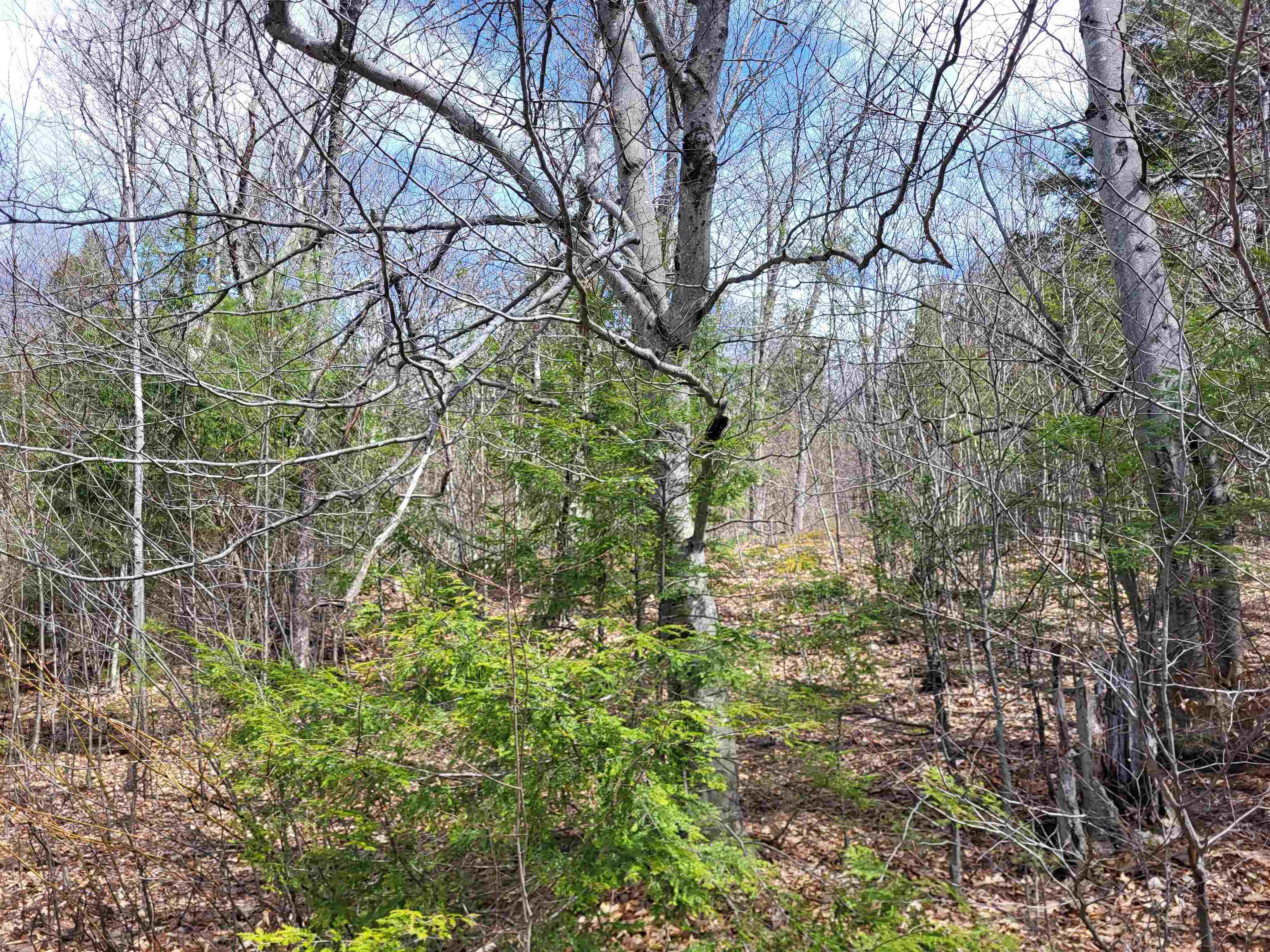637 Sanborn Road, Unit 1 Sanbornton, NH 03269 - Photo 3 of 19