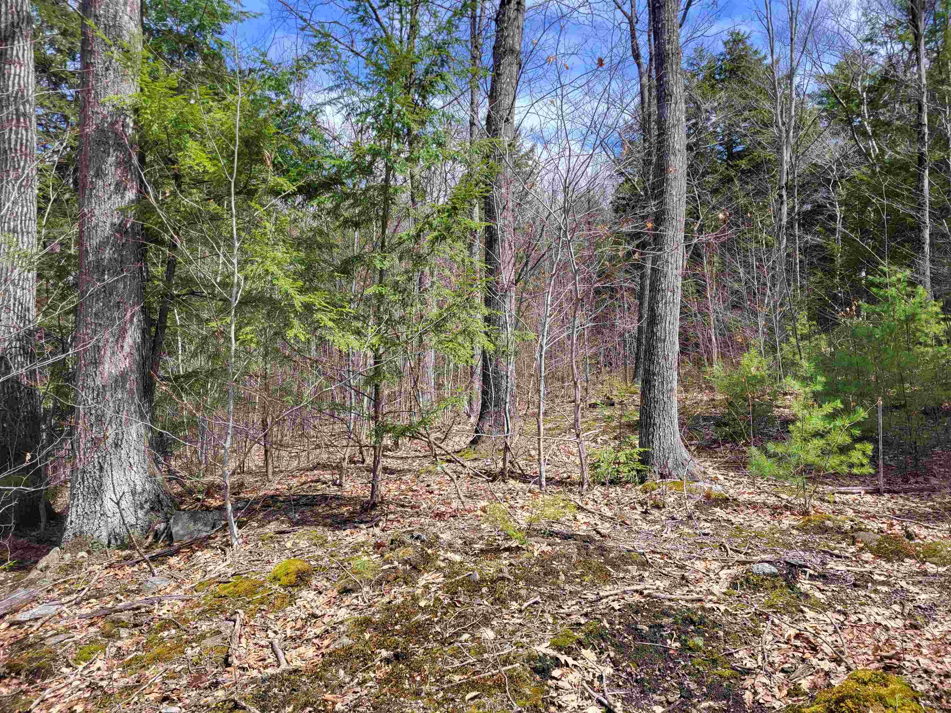 637 Sanborn Road, Unit 1 Sanbornton, NH 03269 - Photo 4 of 19