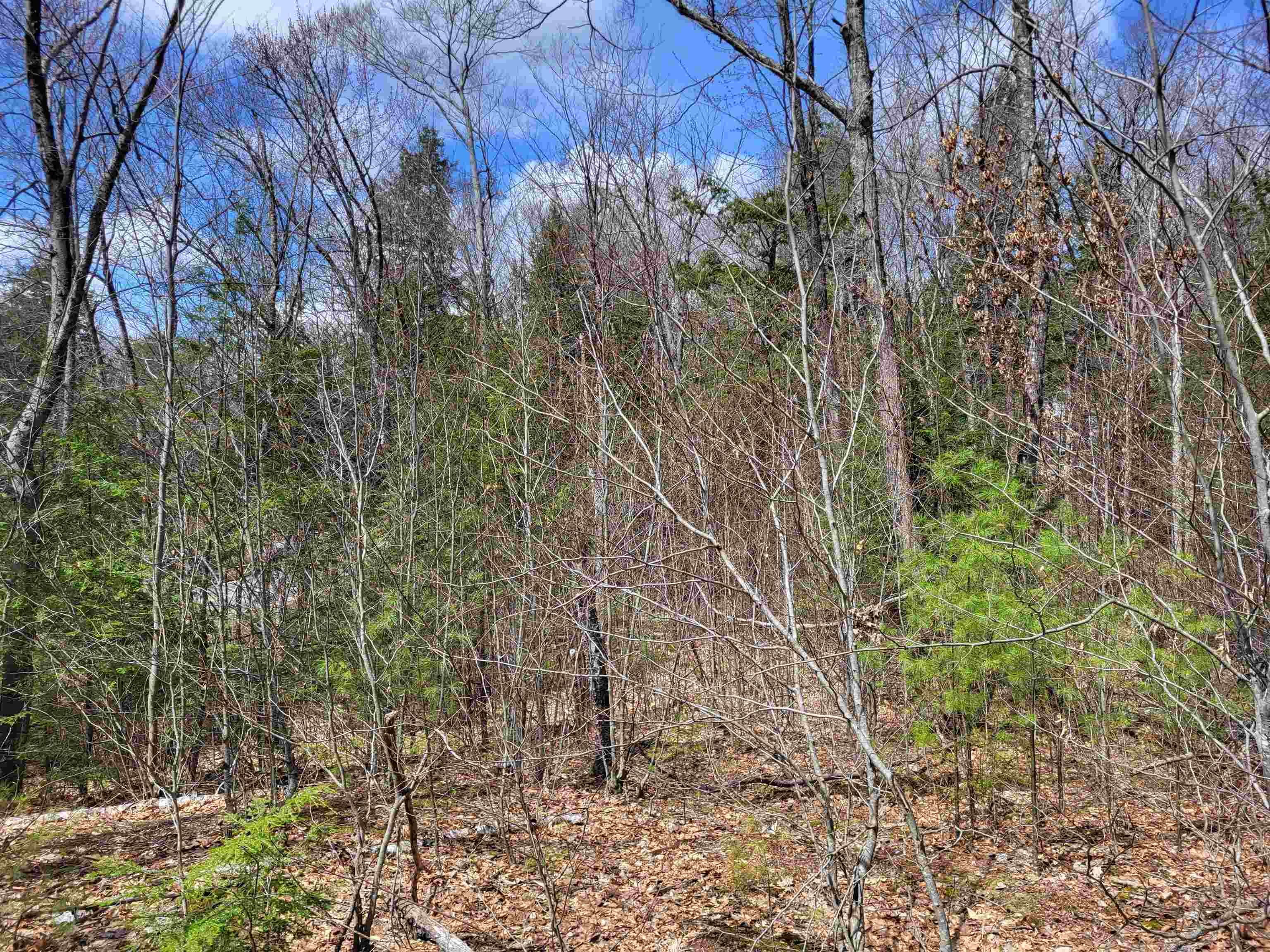 637 Sanborn Road, Unit 1 Sanbornton, NH 03269 - Photo 5 of 19