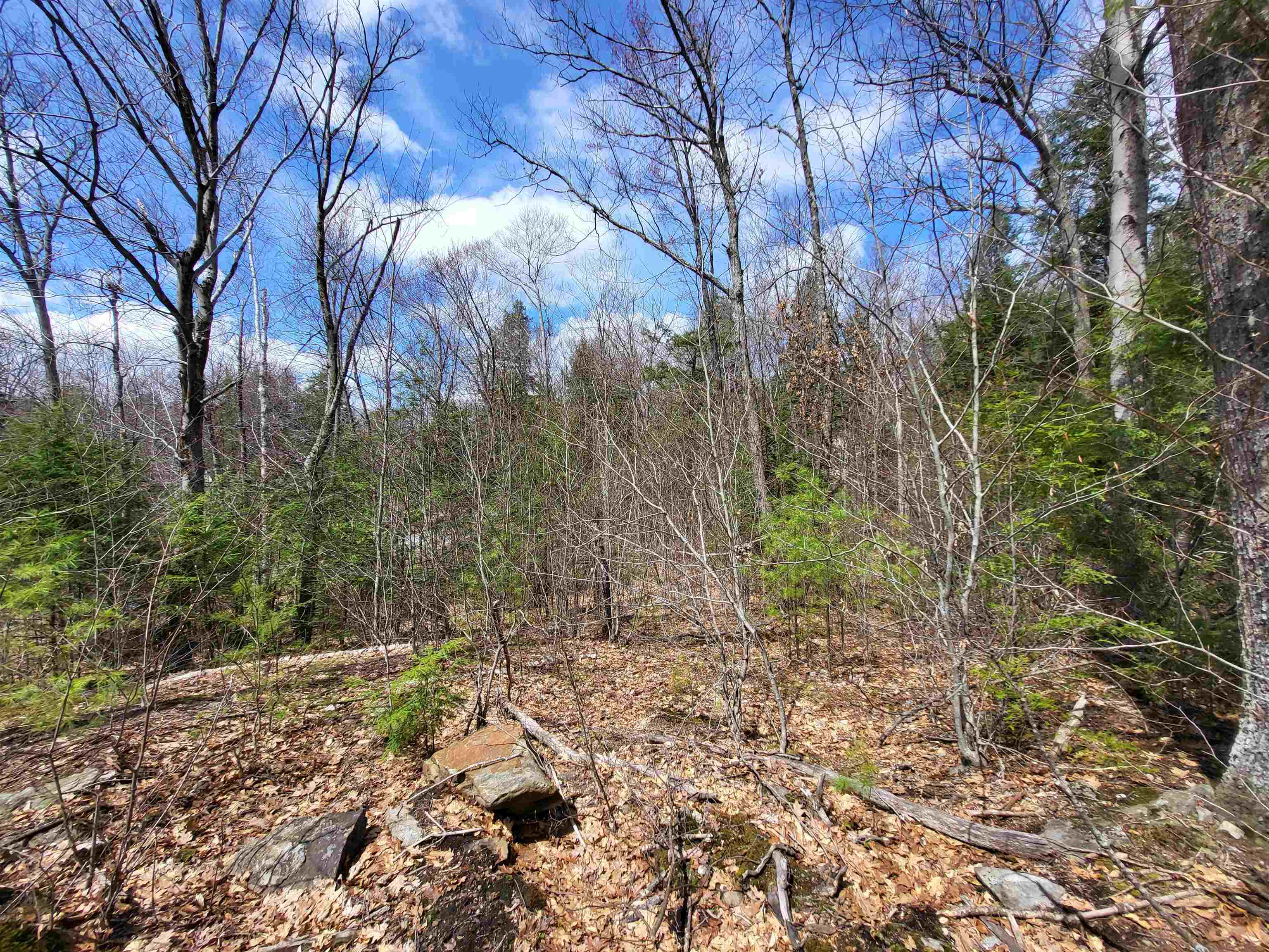 637 Sanborn Road, Unit 1 Sanbornton, NH 03269 - Photo 6 of 19