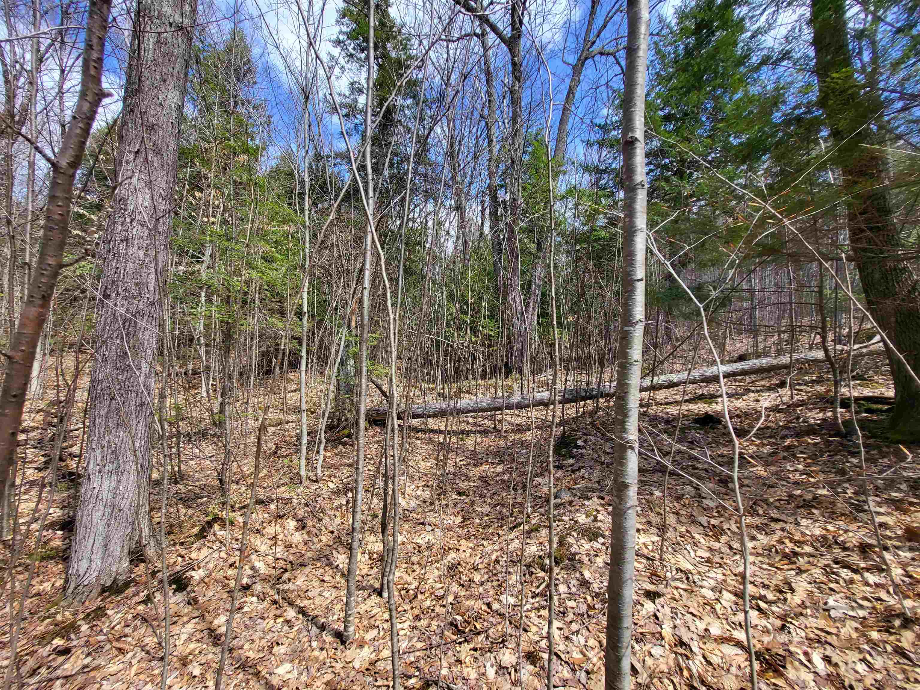637 Sanborn Road, Unit 1 Sanbornton, NH 03269 - Photo 7 of 19