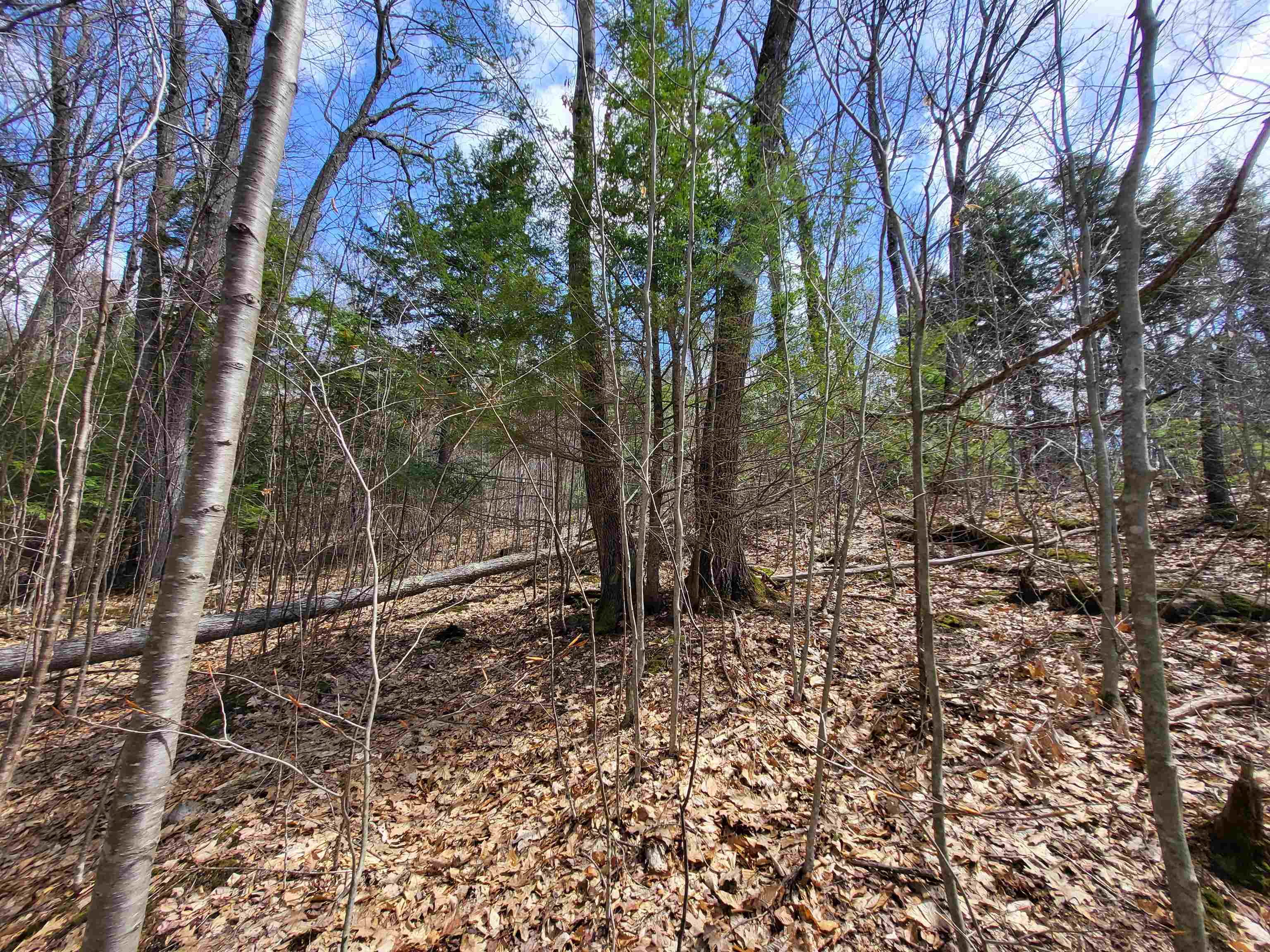 637 Sanborn Road, Unit 1 Sanbornton, NH 03269 - Photo 8 of 19
