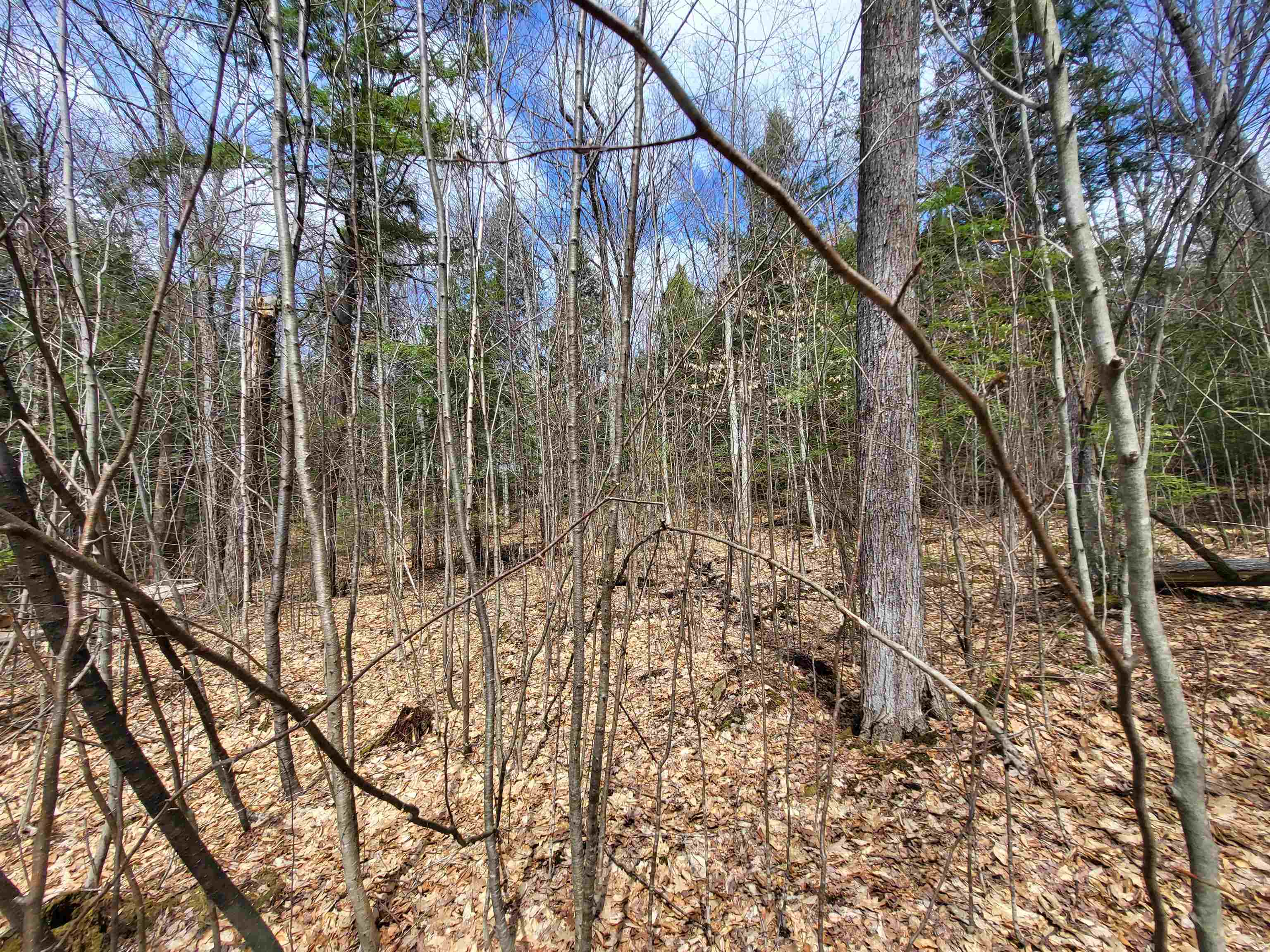 637 Sanborn Road, Unit 1 Sanbornton, NH 03269 - Photo 9 of 19