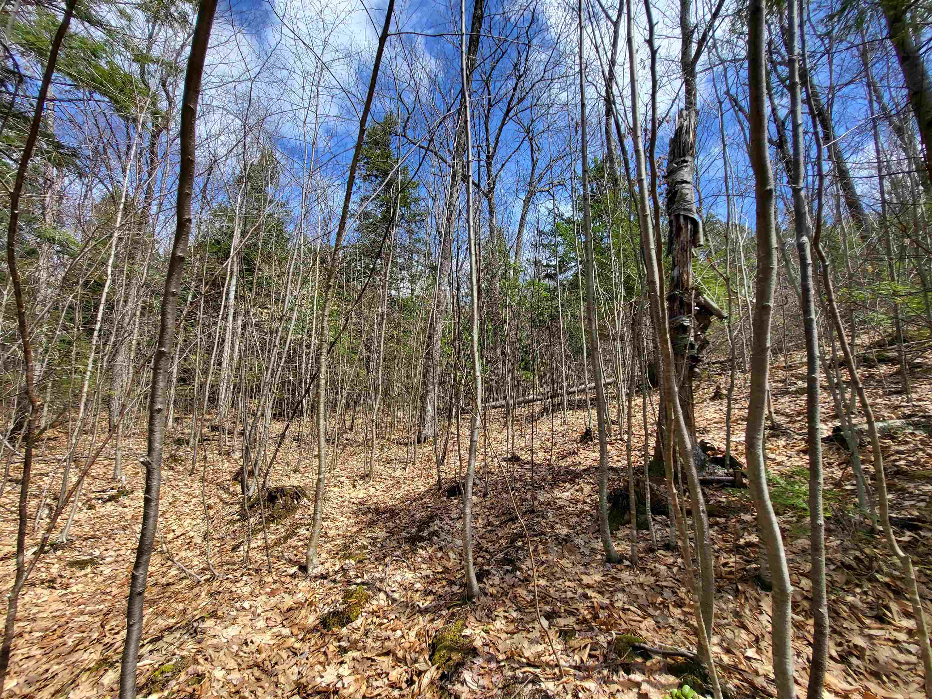 637 Sanborn Road, Unit 1 Sanbornton, NH 03269 - Photo 10 of 19