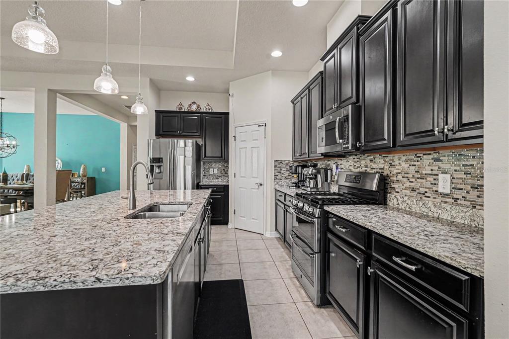 204 Shell Creek Court Apollo Beach, FL 33572 - Photo 12 of 39