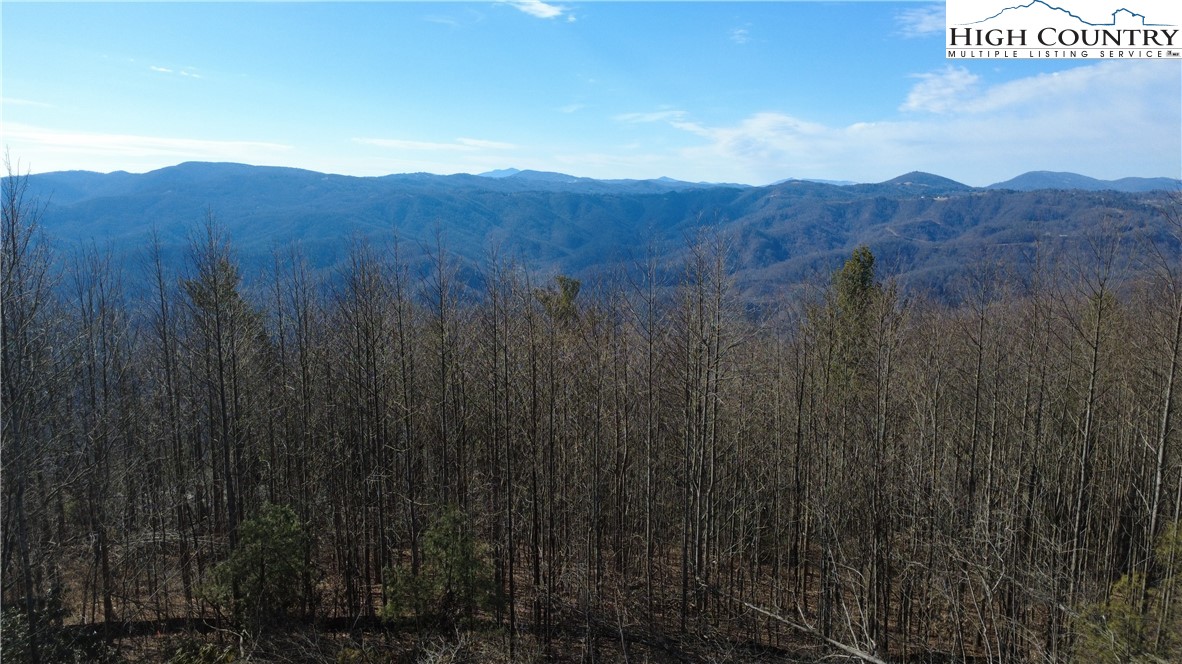Angelfire Trail Deep Gap, NC 28618 - Photo 2 of 23 a view of a lush green field