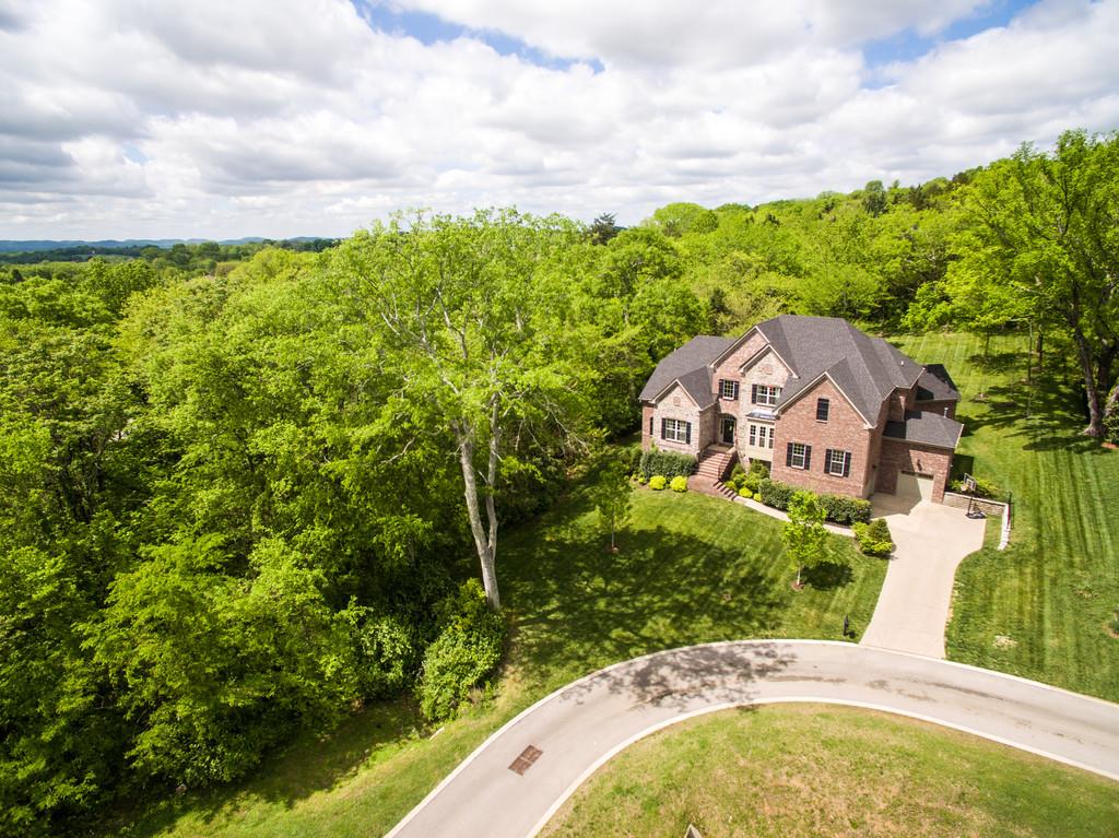 3421 Herbert Drive Franklin, TN 37067 - Photo 2 of 30 view of a big yard with potted plants and large tree