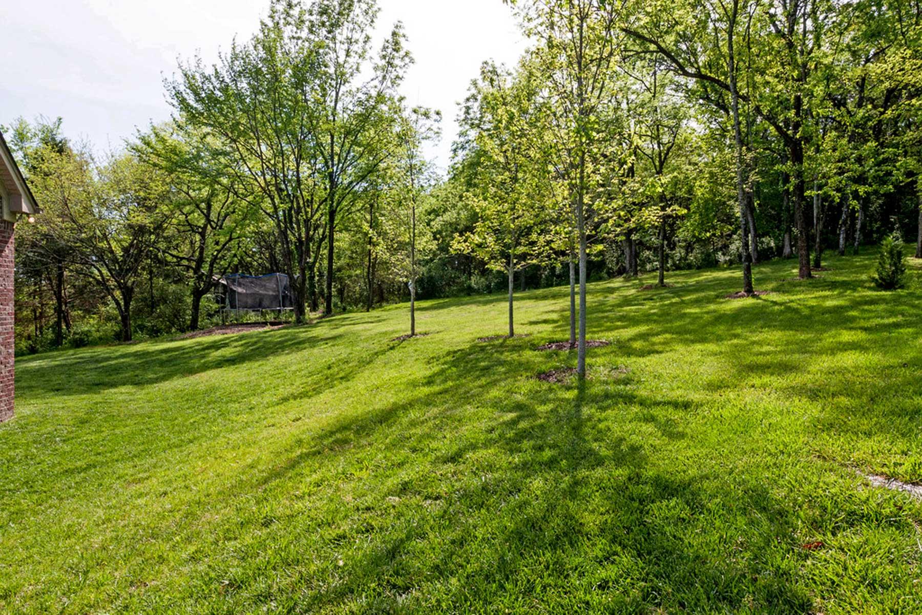 3421 Herbert Drive Franklin, TN 37067 - Photo 30 of 30 a view of a park with a tree