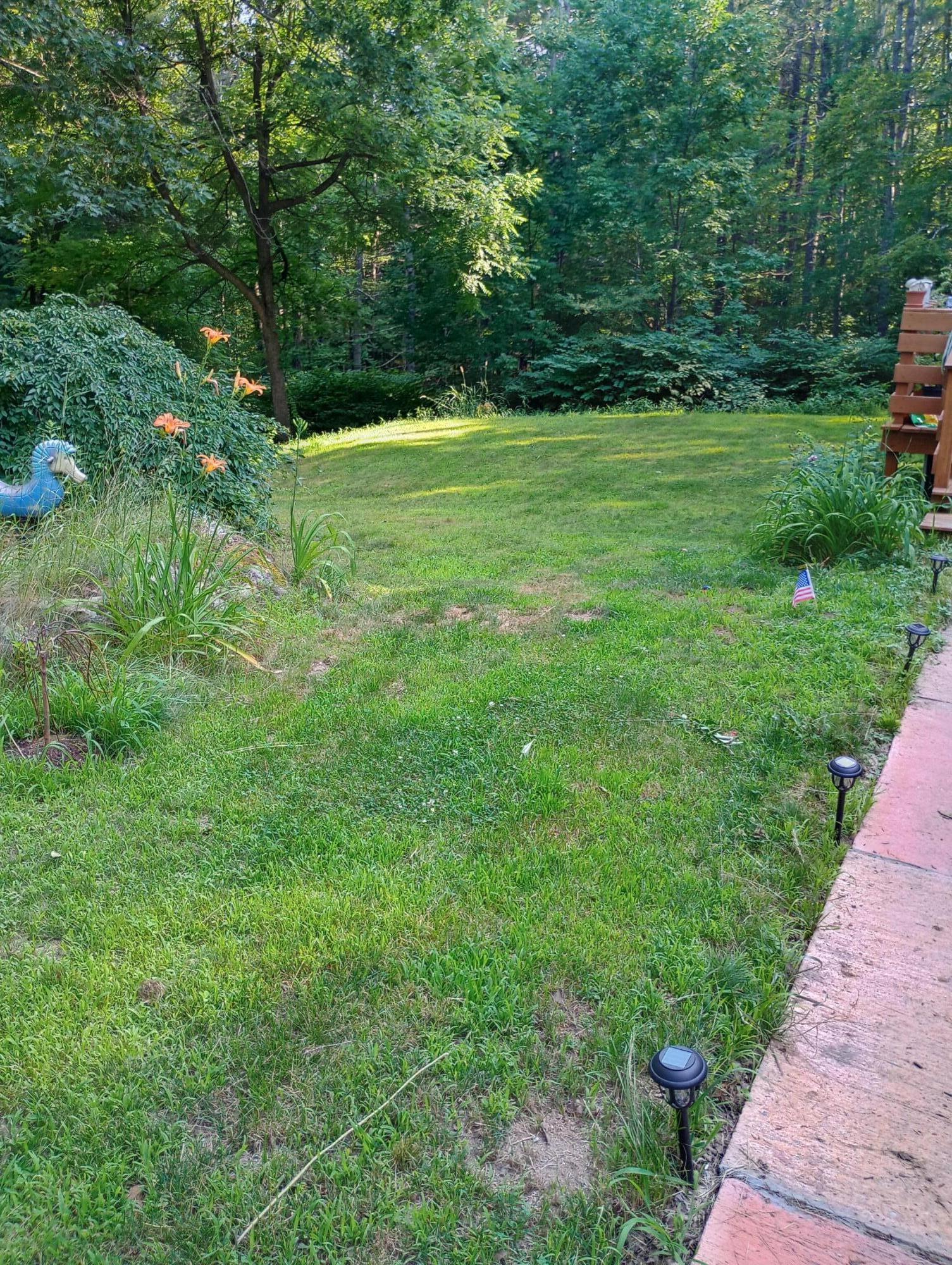 164 Alpine Street Paris, ME 04281 - Photo 45 of 48 1000000642