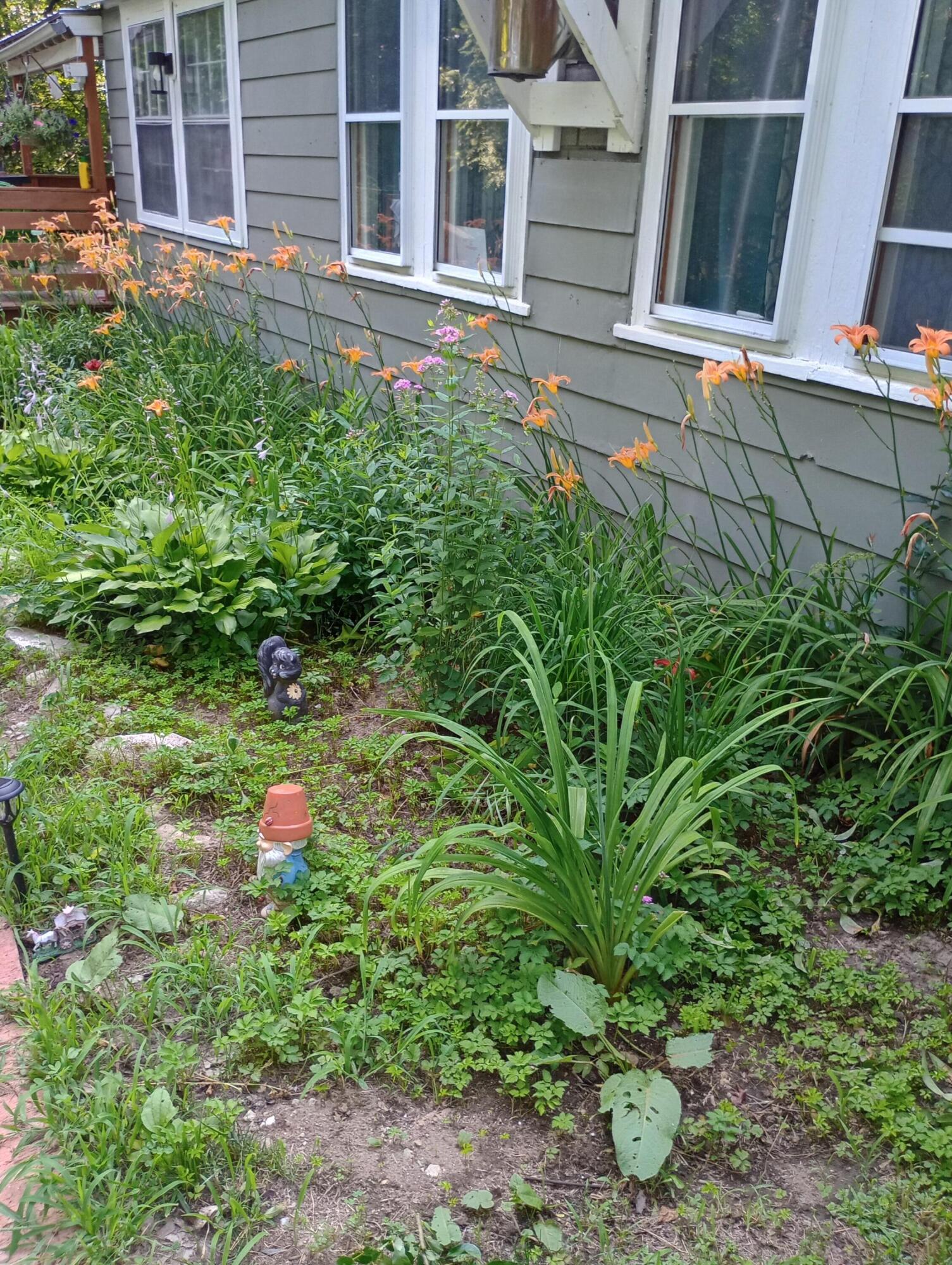 164 Alpine Street Paris, ME 04281 - Photo 46 of 48 1000000644