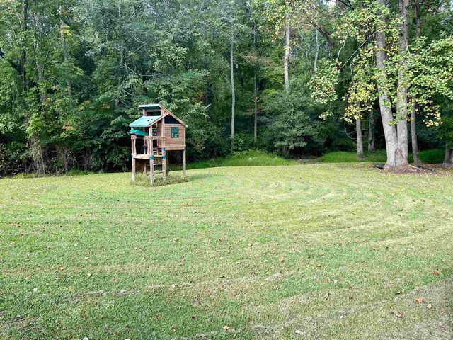 $1,250,000 | 1229 Tulip Street, Clayton, NC 27520